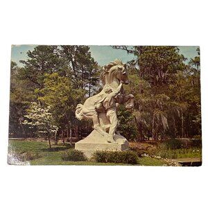 Vintage Postcard Brookgreen Gardens Murrells Inlet SC  Topographical Standard u